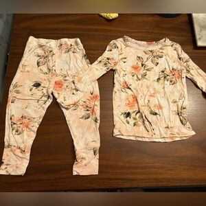 Posh Peanut 2 piece pajama set